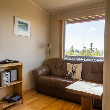 Kiisa A&b Two With Aurora Semesterbostad Saariselkä