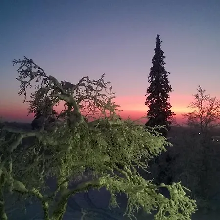 Kiisa A And B With Aurora Holiday home Saariselka